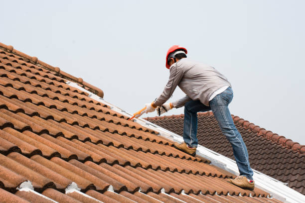 Best Asphalt Shingles Roofing  in Coventry Lake, CT